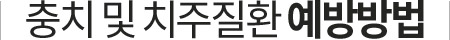 충치 및 치주질환 예방방법